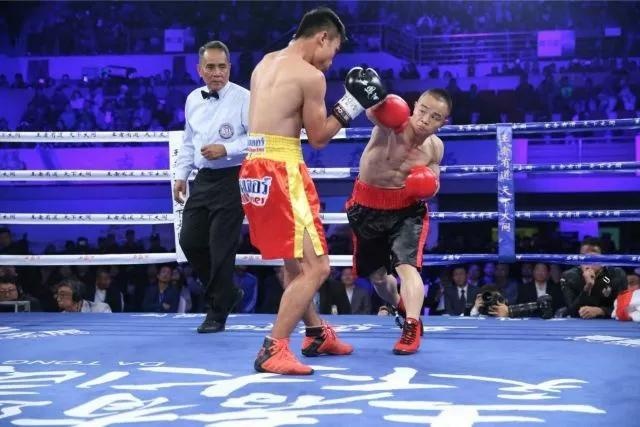 CCTV5直播报道,世界拳王争霸赛最新动态与精彩对决