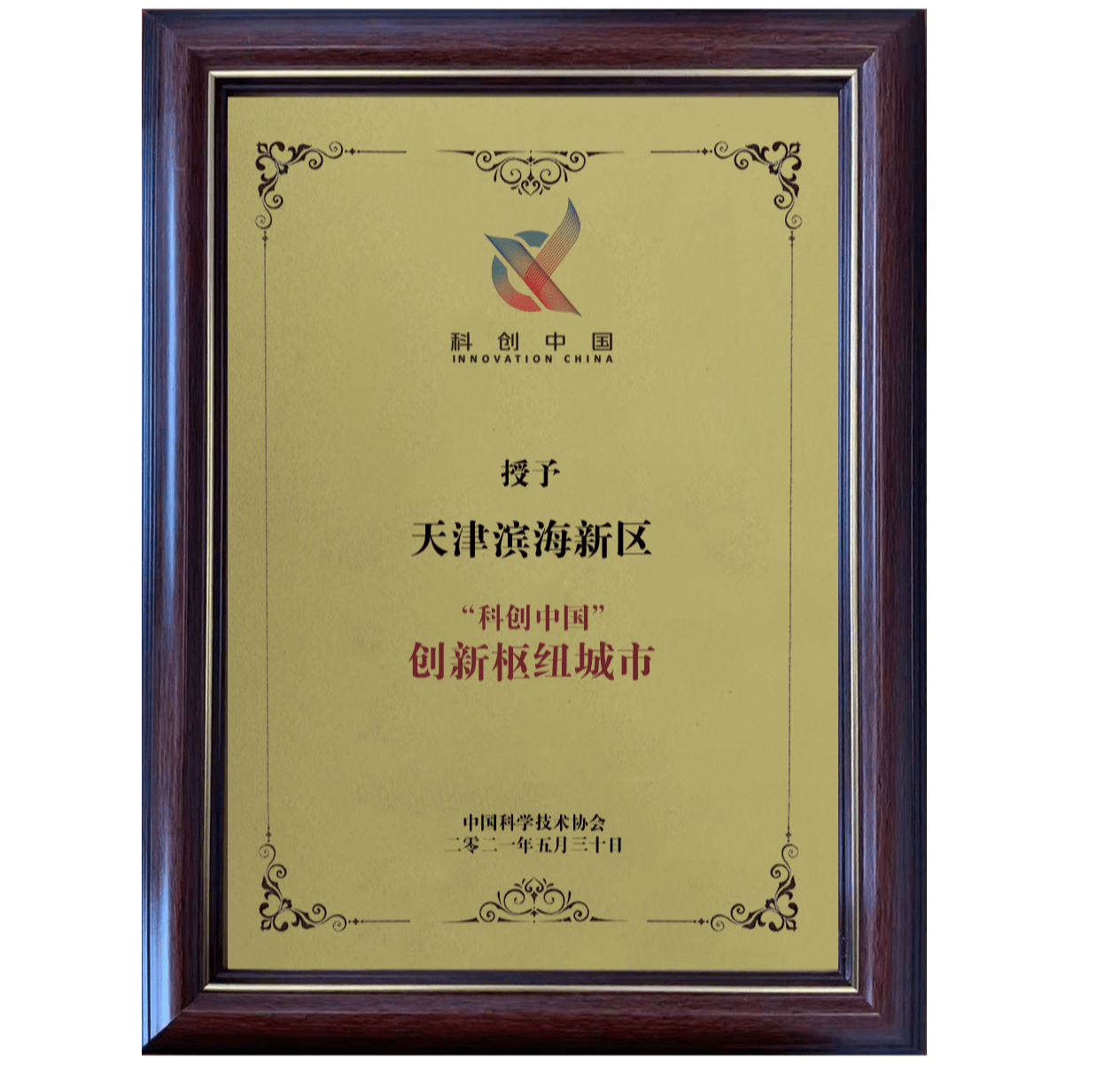 探寻权力之路花语启示,花伴落官途最新章节与人生启示