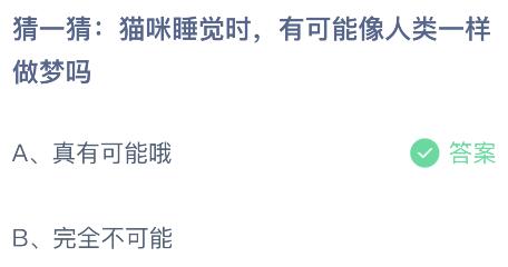揭秘庄园小鸡游戏，最新答案详解与玩转指南（11月6日更新）