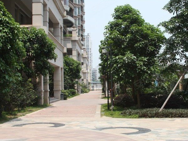 花开无言 第47页