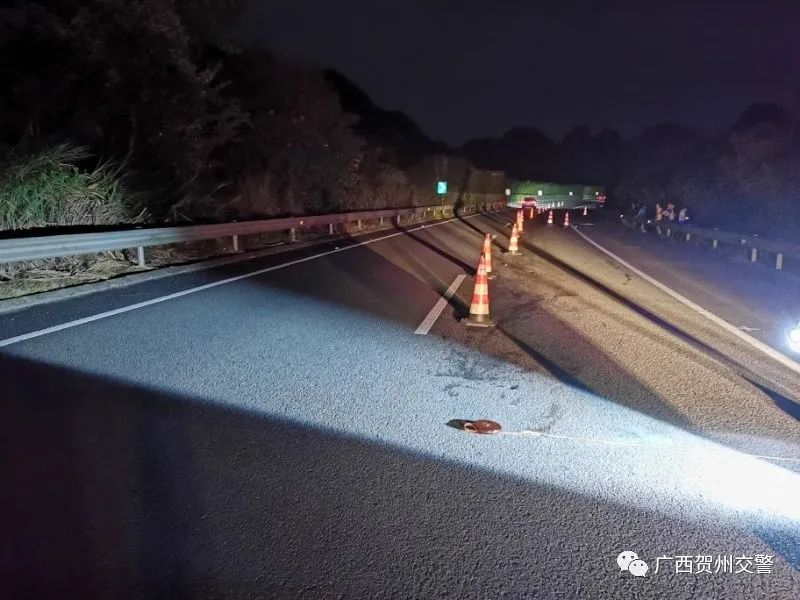 包茂高铁最新动态,建设进展、运行调整与优化措施揭秘(11月10日更新)