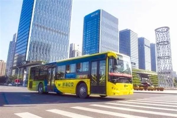友情同行日，广饶公交新线路揭秘，历史11月14日最新路线发布