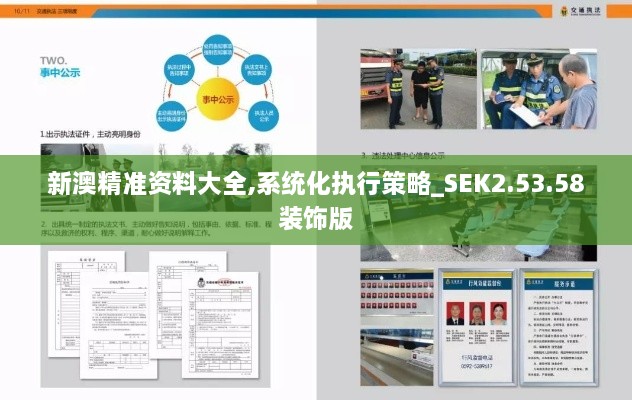 新澳精准资料大全,系统化执行策略_SEK2.53.58装饰版