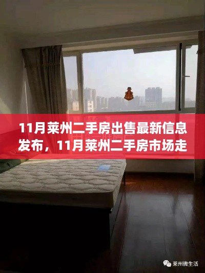 11月莱州二手房市场走势解读，最新出售信息与市场观点