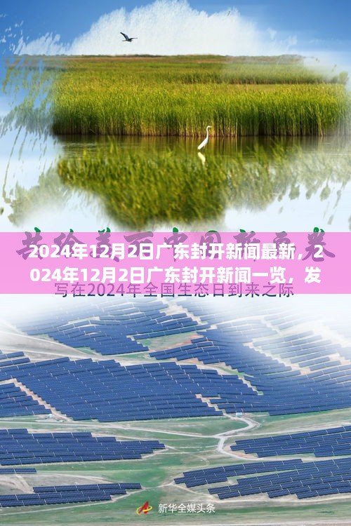 成功案例 第334页