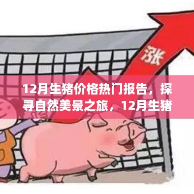 jushiwushuang 第7页