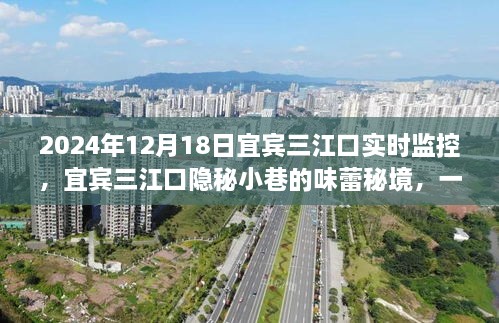 宜宾三江口味蕾秘境，实时探索之旅（2024年12月18日）