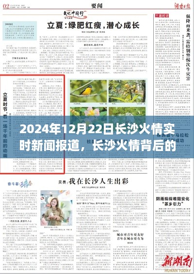 wujueluzhang 第4页