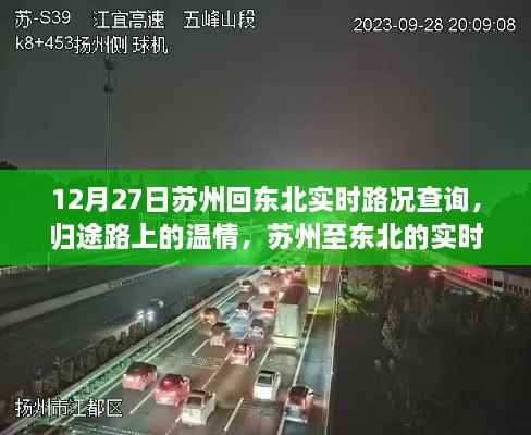 成功案例 第247页