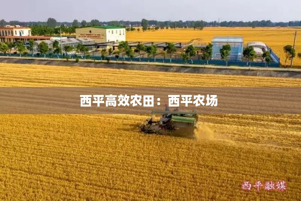 情不自禁 第3页
