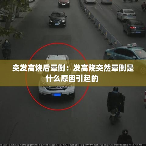 沉灶产蛙 第3页