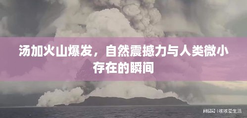 联系我们 第195页