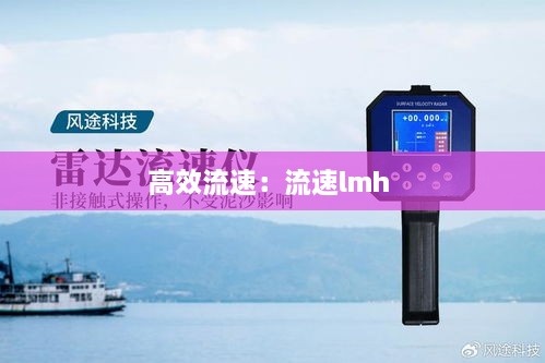 高效流速:流速lmh