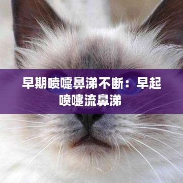 雅人清致 第2页