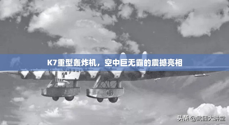 成功案例 第109页