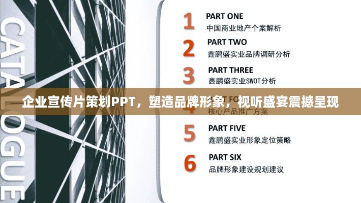 成功案例 第106页
