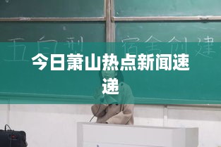 成功案例 第66页