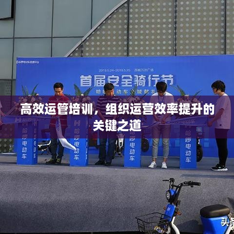 产品中心 第53页