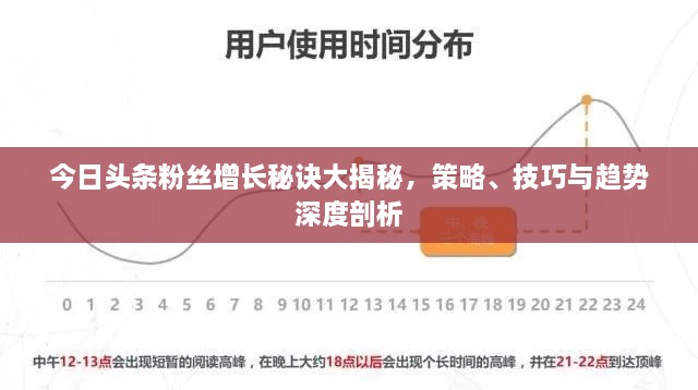 关于我们 第44页