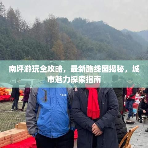 第231页