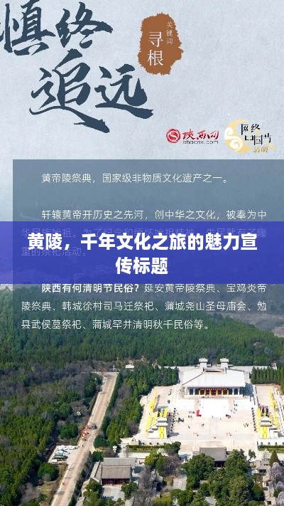 产品中心 第12页