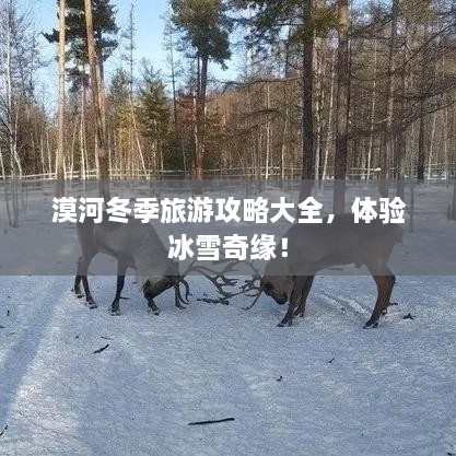 关于我们 第12页