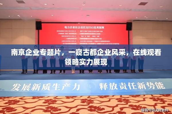 成功案例 第15页