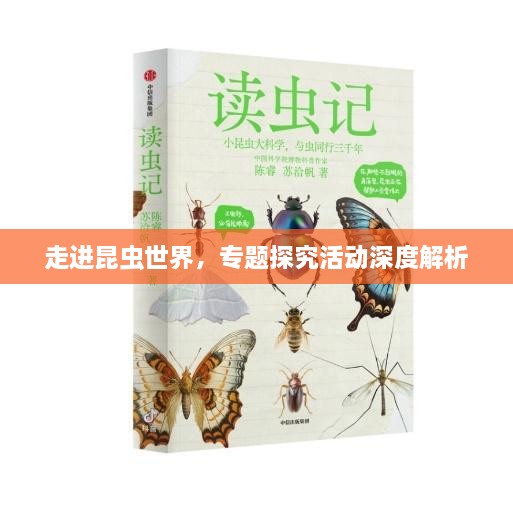 成功案例 第13页