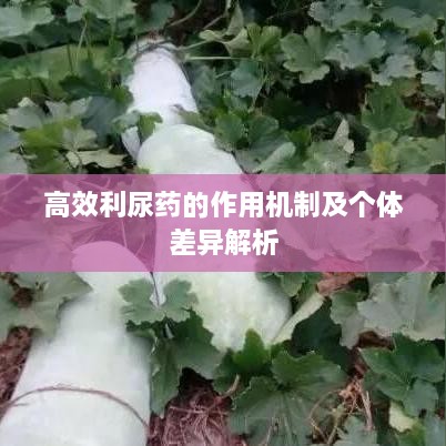 联系我们 第8页