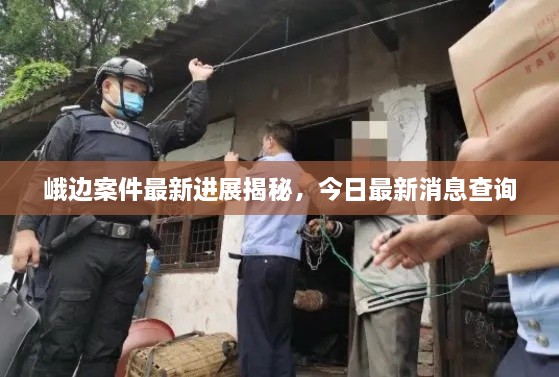 成功案例 第5页