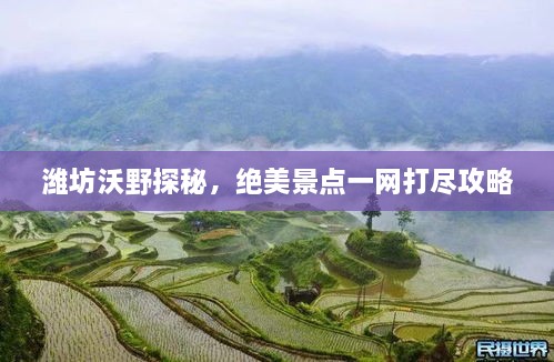 潍坊沃野探秘，绝美景点一网打尽攻略