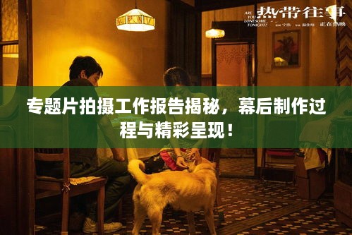 专题片拍摄工作报告揭秘，幕后制作过程与精彩呈现！