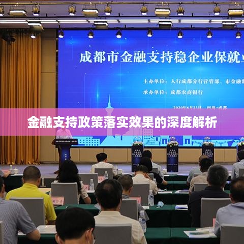 金融支持政策落实效果的深度解析