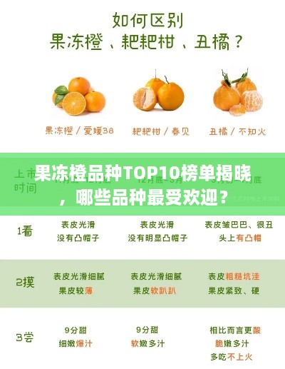 果冻橙品种TOP10榜单揭晓，哪些品种最受欢迎？