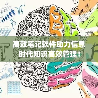 高效笔记软件助力信息时代知识高效管理！