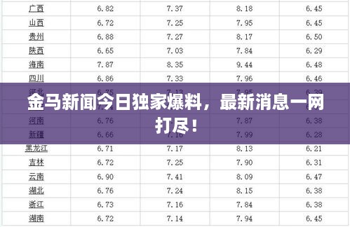 金马新闻今日独家爆料，最新消息一网打尽！