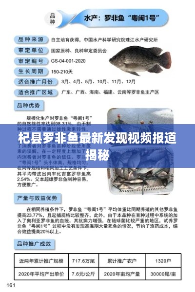 杞县罗非鱼最新发现视频报道揭秘