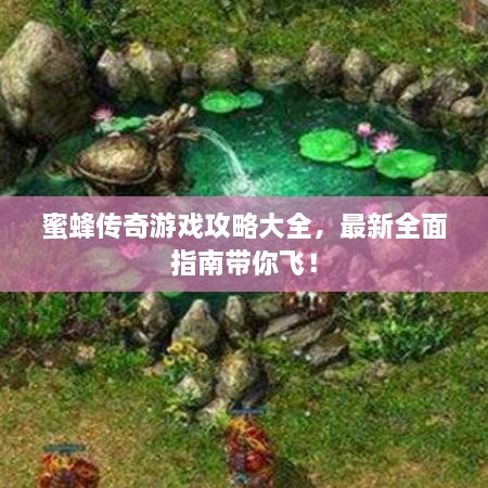 蜜蜂传奇游戏攻略大全，最新全面指南带你飞！