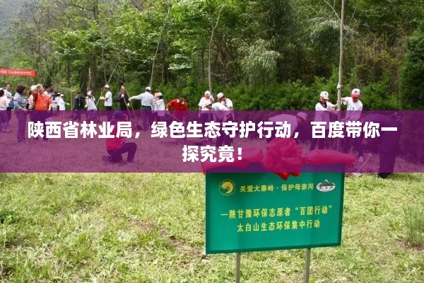 陕西省林业局，绿色生态守护行动，百度带你一探究竟！