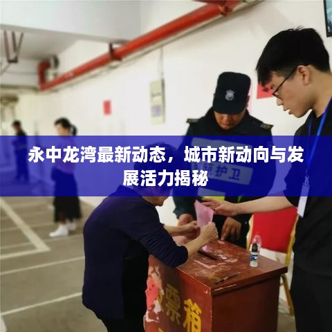 永中龙湾最新动态，城市新动向与发展活力揭秘