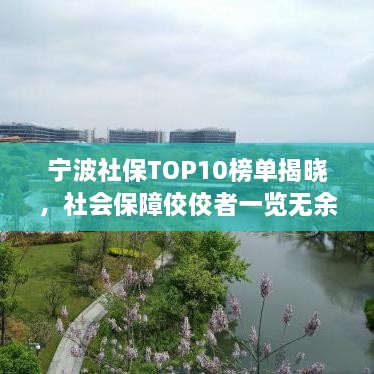宁波社保TOP10榜单揭晓，社会保障佼佼者一览无余