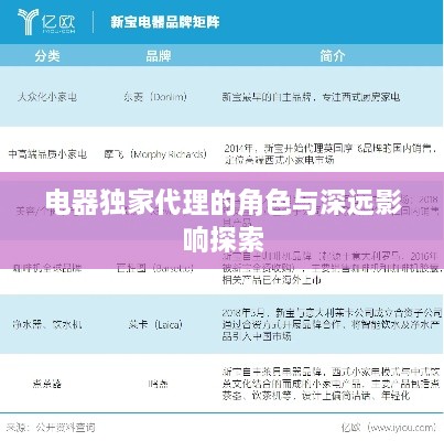 电器独家代理的角色与深远影响探索