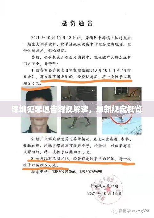 深圳犯罪通告新规解读，最新规定概览