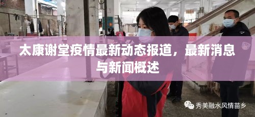 太康谢堂疫情最新动态报道，最新消息与新闻概述