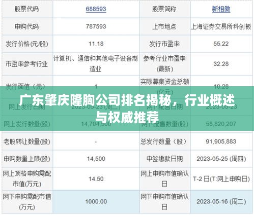 广东肇庆隆胸公司排名揭秘，行业概述与权威推荐