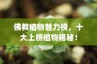 束装就道