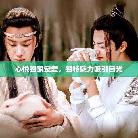 心悦独家宠爱，独特魅力吸引目光