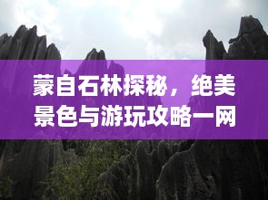 蒙自石林探秘，绝美景色与游玩攻略一网打尽！