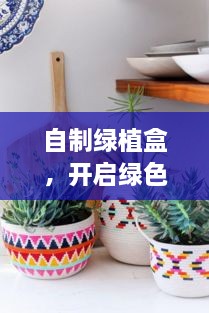 自制绿植盒，开启绿色生活新篇章，打造生态家居新选择！