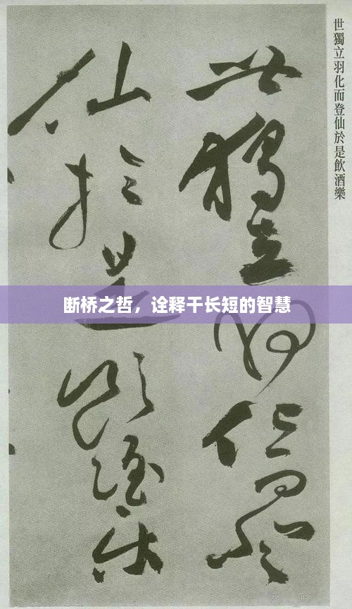 断桥之哲，诠释干长短的智慧